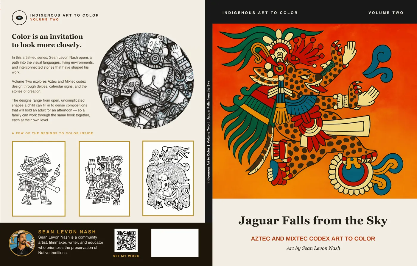 The full cover wrap of Jaguar Falls from the Sky: back with sample pages and a bio, and a jaguar figure on orange on the front.